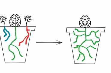 Thoughts need space to grow